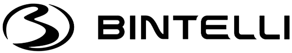 bintelli